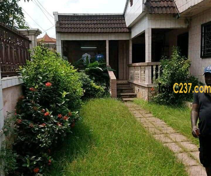 Villa à louer à Kotto Douala