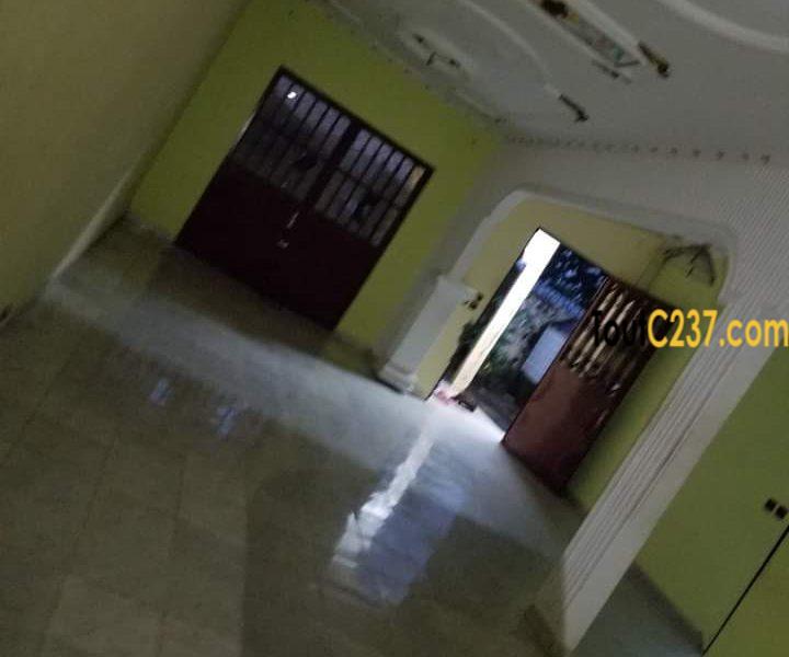 Villa, maison à louer à Bonamoussadi, Douala
