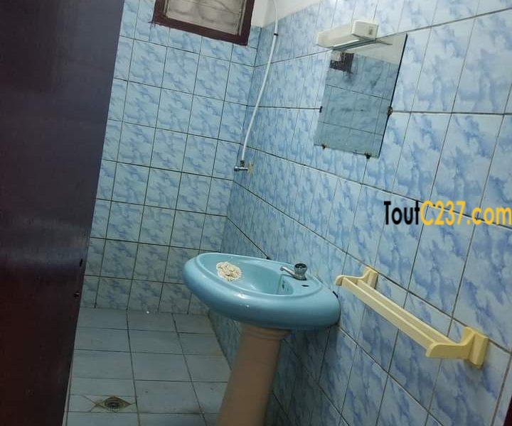 Villa, maison à louer à Bonamoussadi, Douala