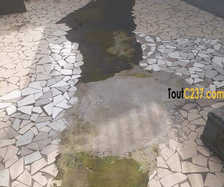 Appartement ou Bureau à louer à Ngodi, Akwa