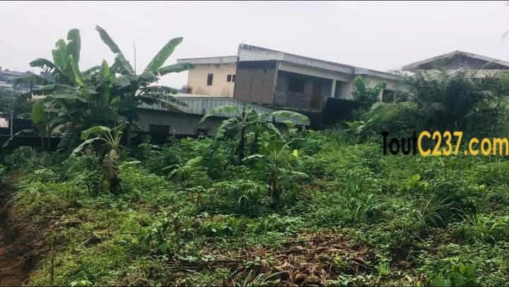 Terrain à vendre à Douala Pk10