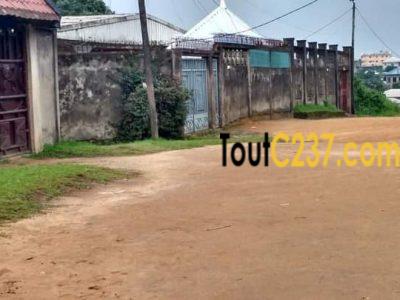 Terrain à vendre à Douala Pk10