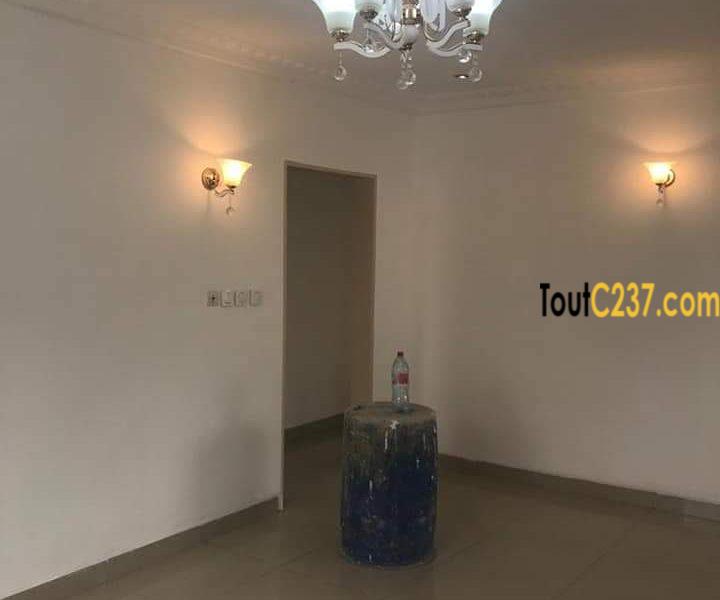 Appartement à louer à bonapriso, Douala