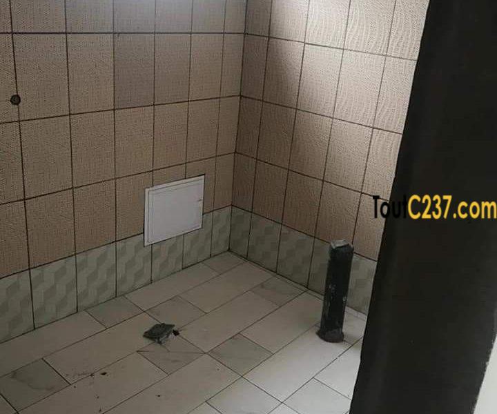 Appartement à louer à bonapriso, Douala
