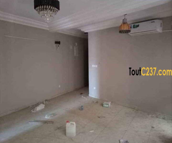 Studio Neuf à louer à Bonamoussadi Douala