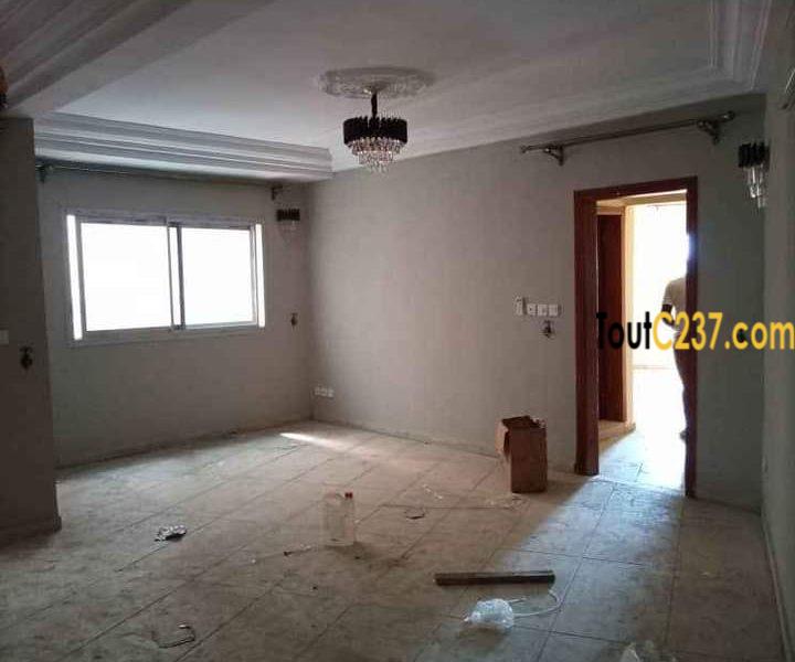 Studio Neuf à louer à Bonamoussadi Douala