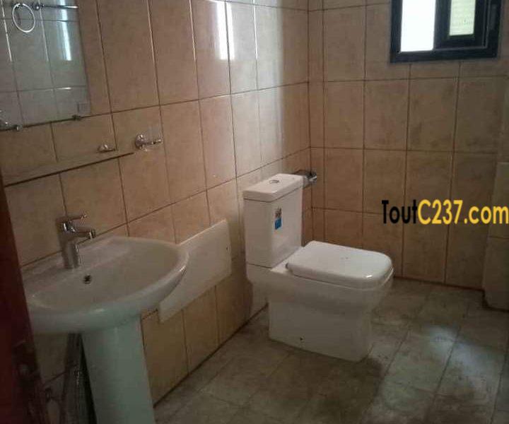 Studio Neuf à louer à Bonamoussadi Douala