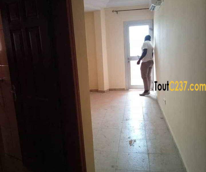 Studio Neuf à louer à Bonamoussadi Douala