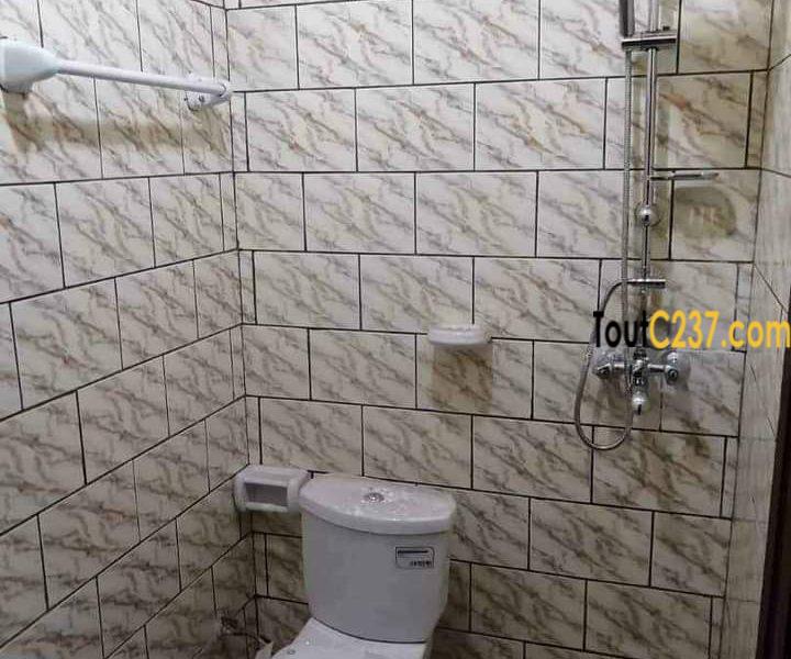Appartement neuf à louer à Logpom Douala