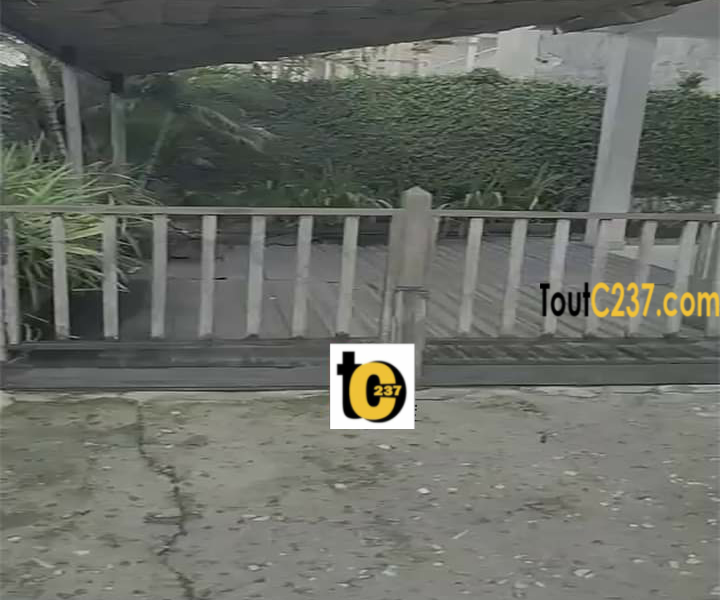 Duplex à louer à Bonapriso Douala