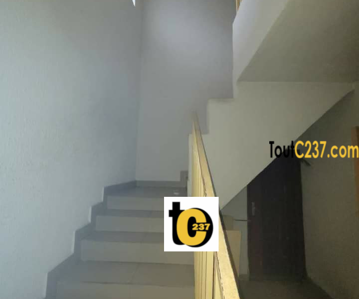 Duplex à louer à Bonapriso Douala
