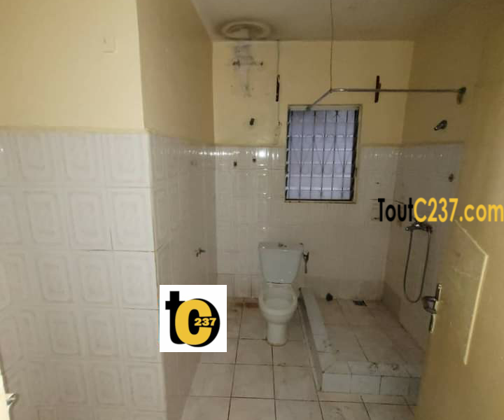 Duplex à louer à Bonapriso Douala