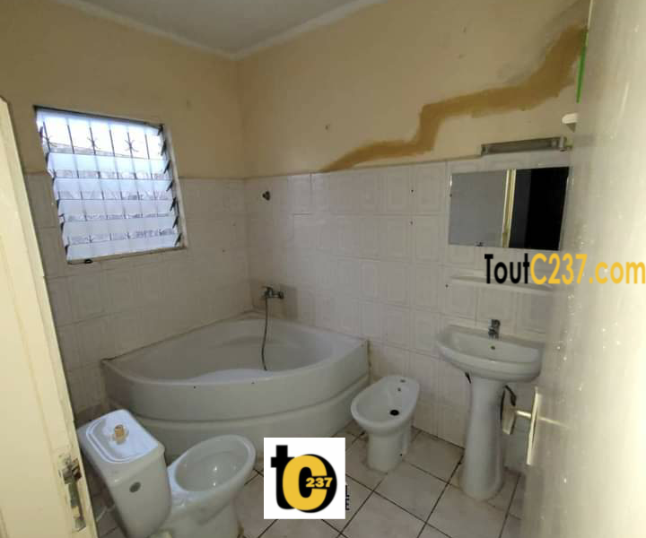 Duplex à louer à Bonapriso Douala