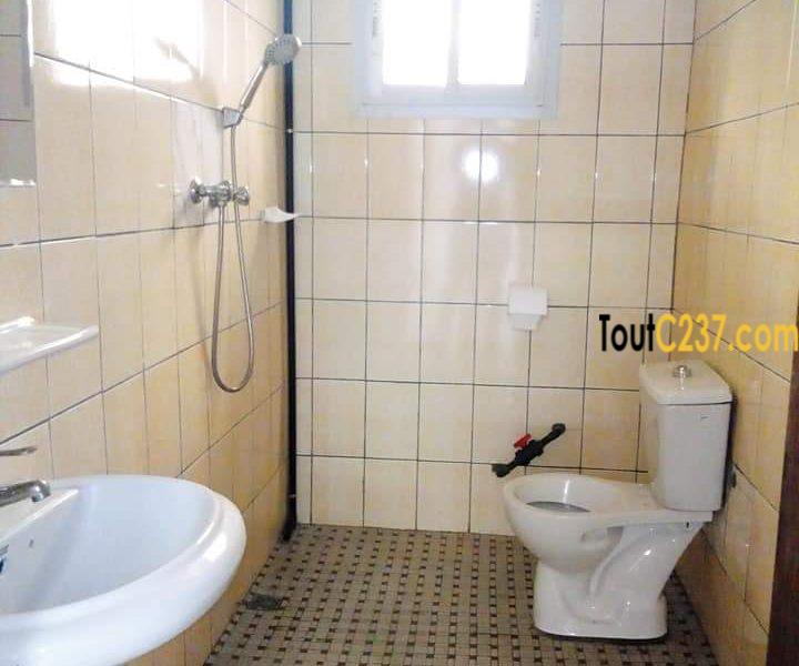 Appartement à louer à Bonamoussadi Douala