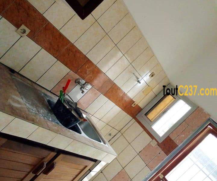 Appartement à louer à Bonamoussadi Douala