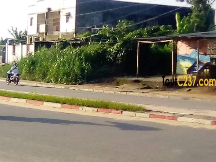 Terrain Commercial à vendre à Logbessou Douala