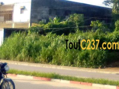 Terrain Commercial à vendre à Logbessou Douala