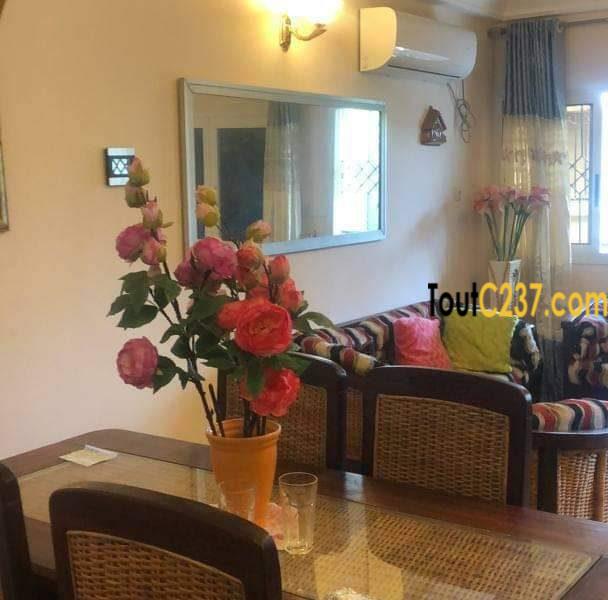 Maison Villa à vendre à Japoma Douala