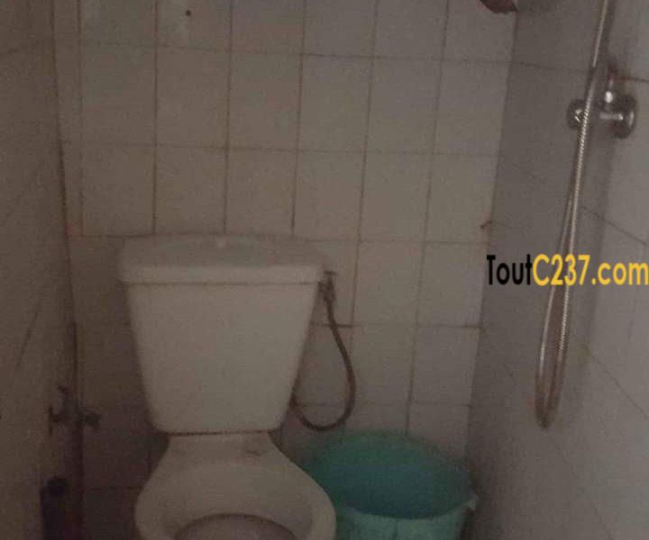 Boutique avec mezzanine à louer à Deido Douala