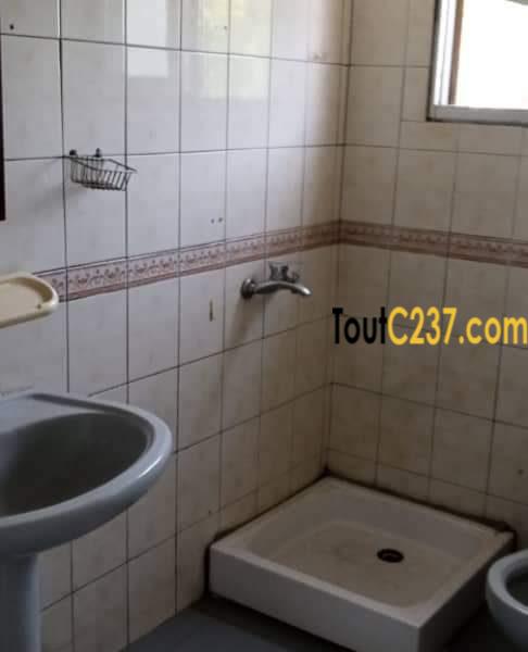 Appartement à louer à bonapriso, Douala