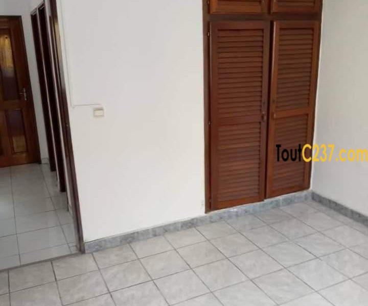 Appartement à louer à Bonapriso Douala