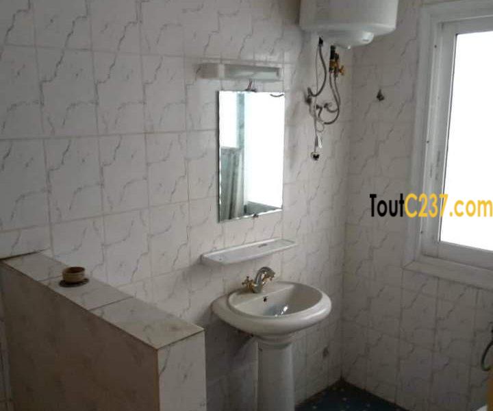 Appartement à louer à Bonapriso Douala