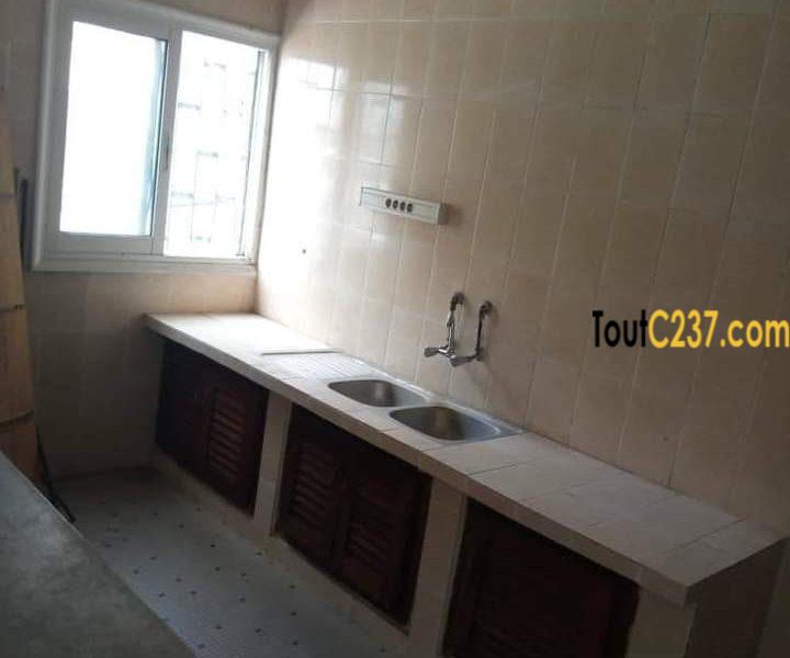 Appartement à louer à Bonapriso Douala