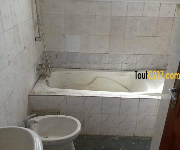 Appartement à louer à Bonapriso Douala