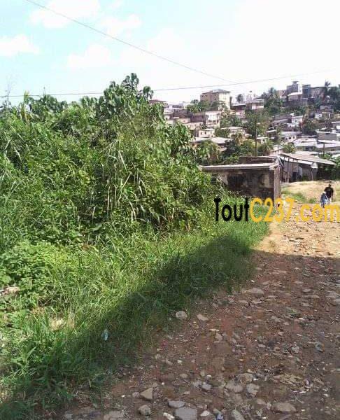 Terrain à vendre à Pk18 Douala
