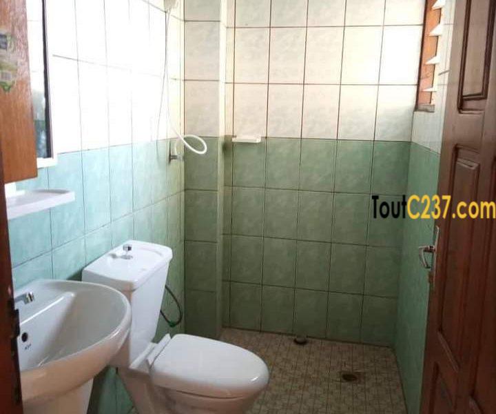 Appartement à louer à Bonamoussadi, Douala