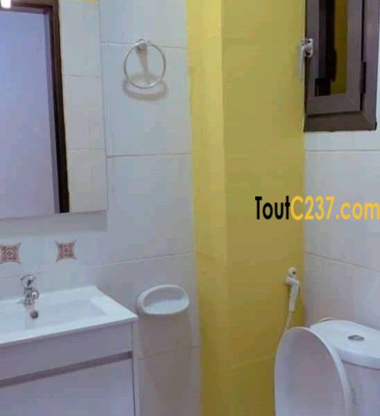 Studio VIP à louer à Ndog-bong, Douala