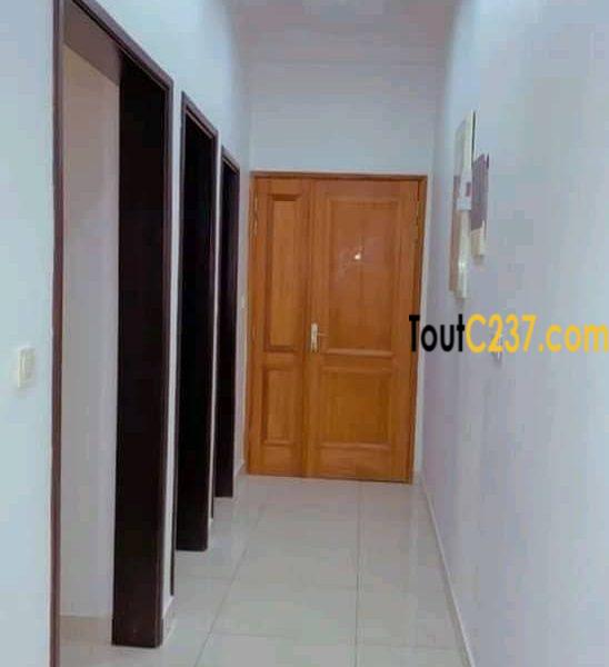 Studio VIP à louer à Ndog-bong, Douala