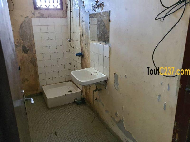 Urgence: Maison à vendre à kotto, Douala