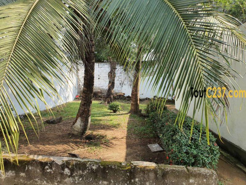 Urgence: Maison à vendre à kotto, Douala