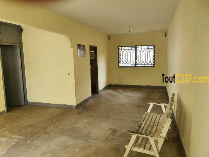 Urgence: Maison à vendre à kotto, Douala