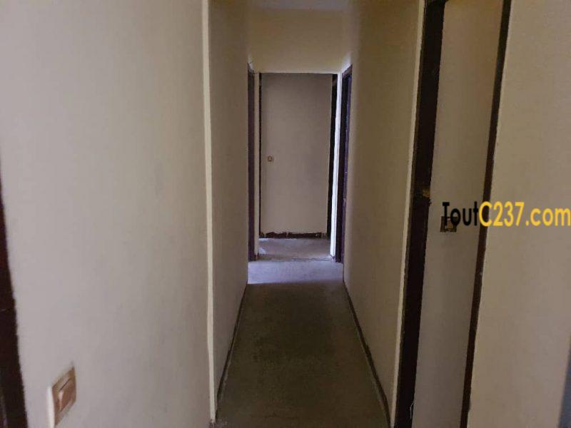 Urgence: Maison à vendre à kotto, Douala