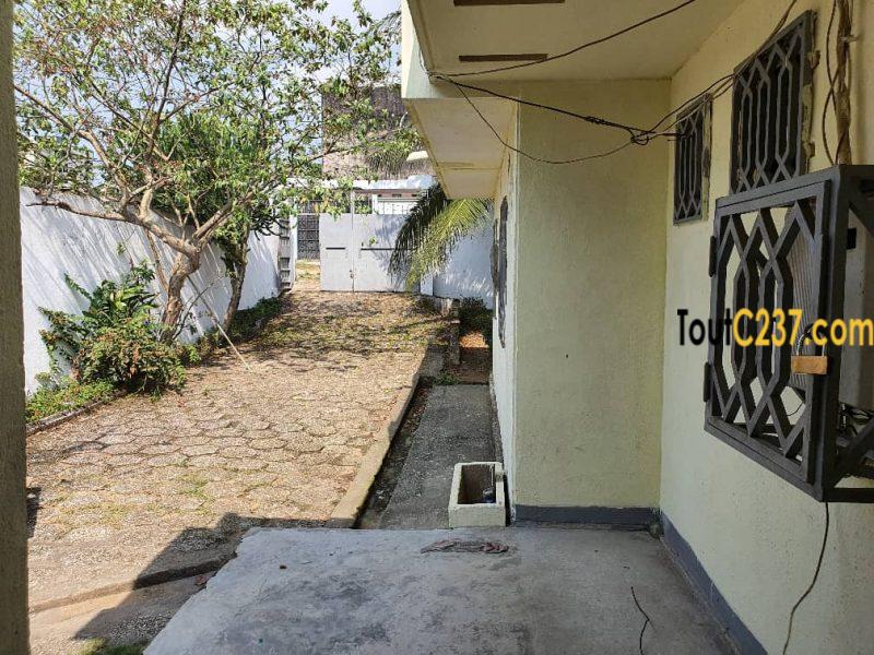 Urgence: Maison à vendre à kotto, Douala