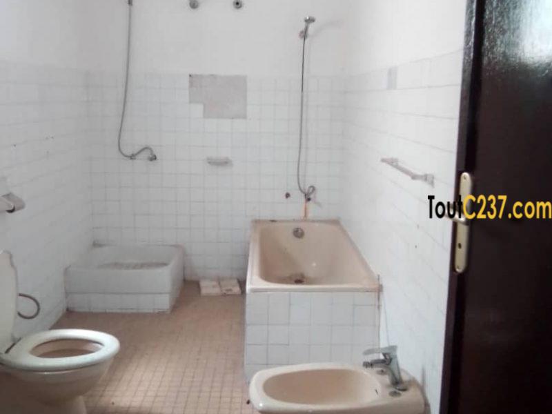Grande villa, Maison à louer à Bali, Douala