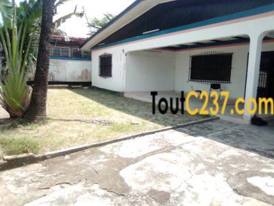 Grande villa, Maison à louer à Bali, Douala