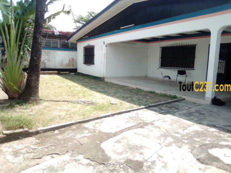 Grande villa, Maison à louer à Bali, Douala