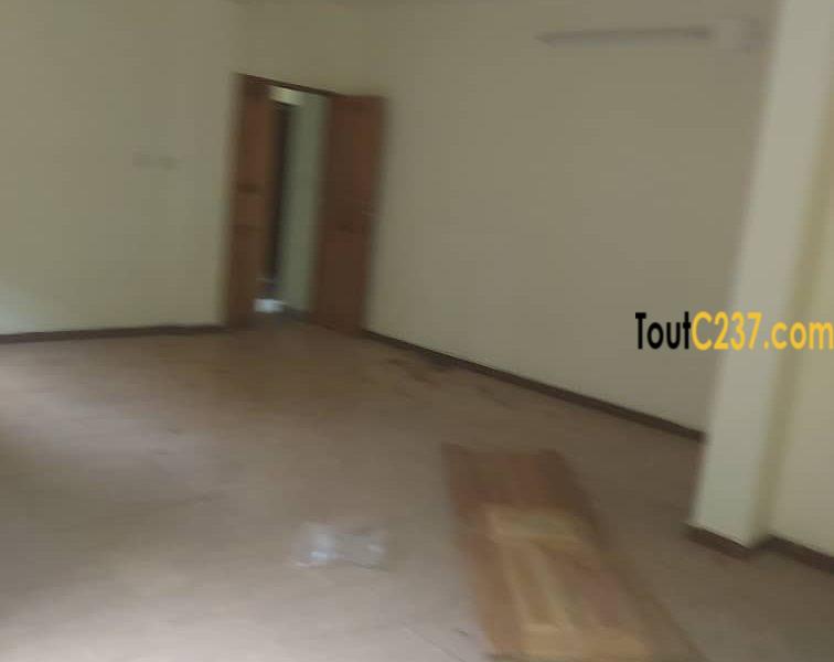 Appartement à louer à Bonamoussadi, Douala