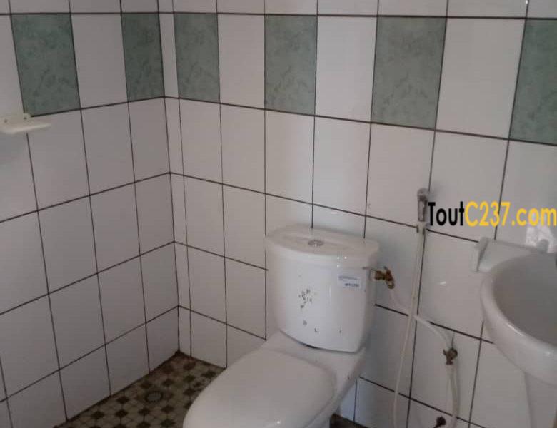 Appartement à louer à Ngodi, Douala