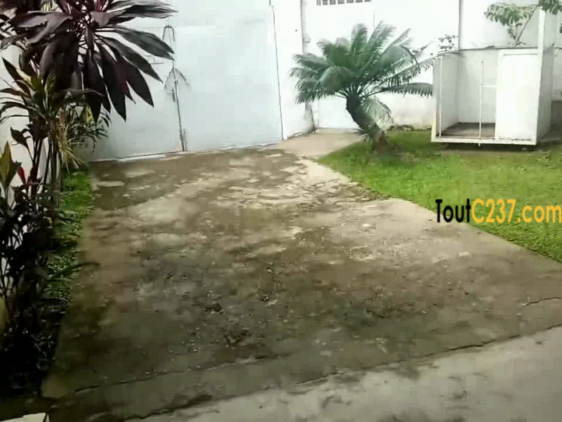 Maison villa à louer à Bonapriso Douala