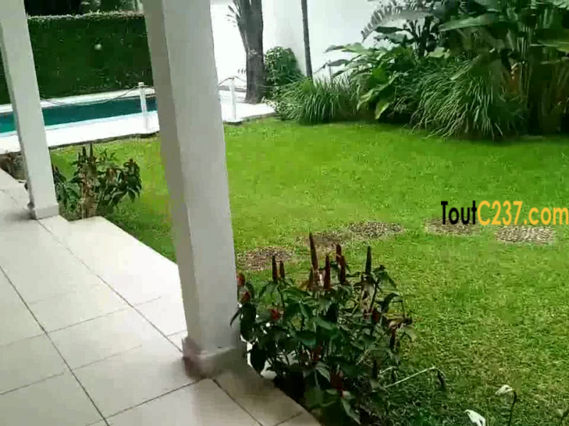 Maison villa à louer à Bonapriso Douala
