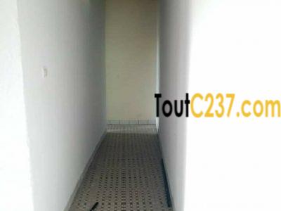 Appartement à louer à Bonamoussadi, Douala