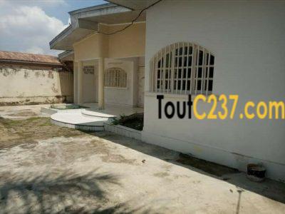 Villa, maison à vendre à Bonamoussadi, Douala