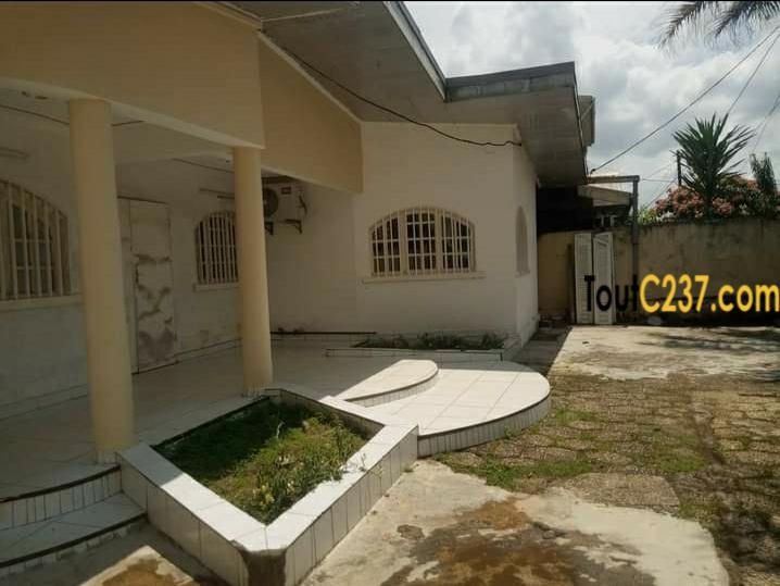 Villa, maison à vendre à Bonamoussadi, Douala