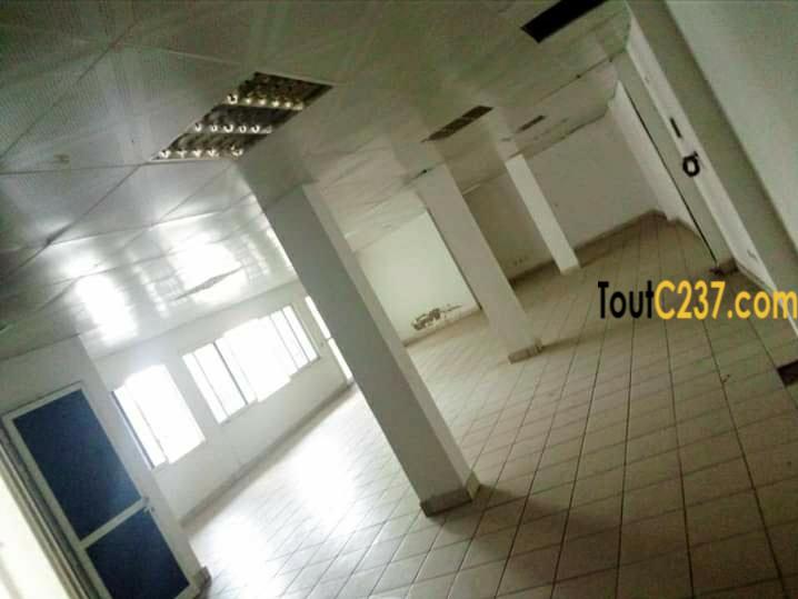 Bureau à louer à Akwa Douala