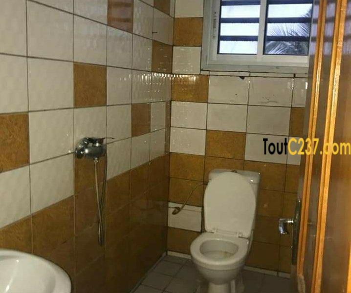 Appartement à louer à bonapriso, Douala