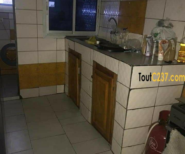 Appartement à louer à bonapriso, Douala